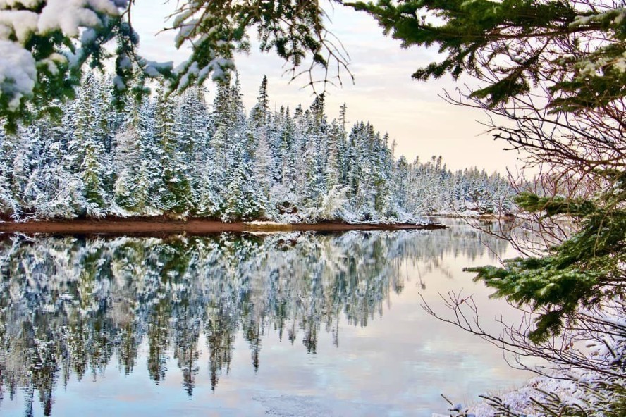 Points East Holiday Gift Guide