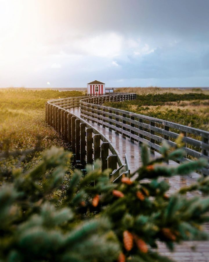 173113695 5865646026811024 3275928928889078436 n