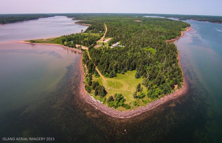 299608197 723135352098948 279083168496100764 n 768x495