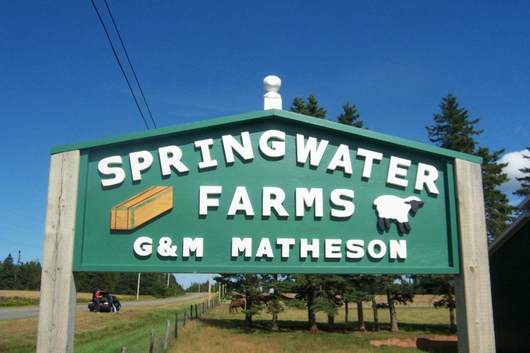 309046503 467475832072951 1736997111730188243 n 768x512