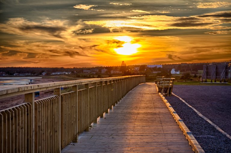 310241197 459961212825133 987429679579614005 n 2 768x510