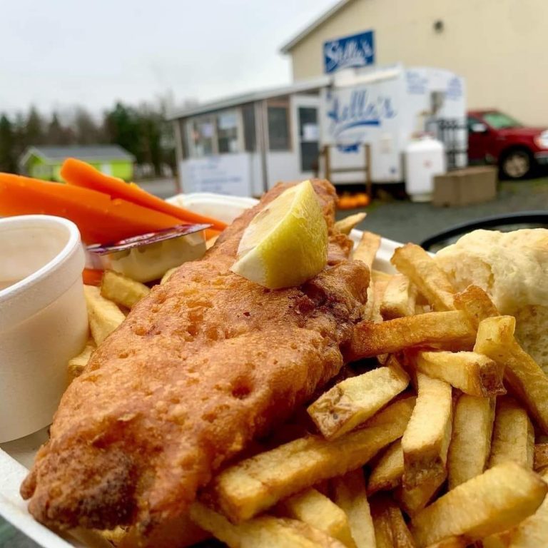 332519445 759852258820207 4956513856387017269 n 768x768