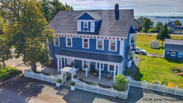 337650301 617483359717513 8961349223350940805 n 768x432