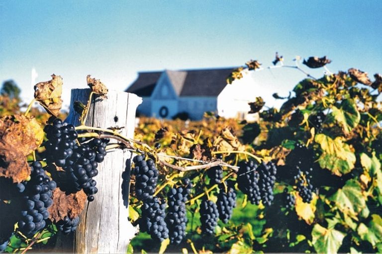 343976054 991122285593905 5727035390513348653 n 768x512