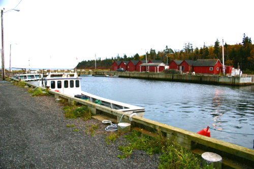 61 POI Furtune Bay Harbour 13088