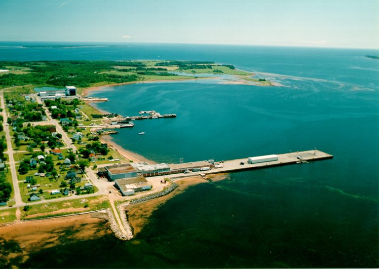 Georgetown Port 2020 768x545