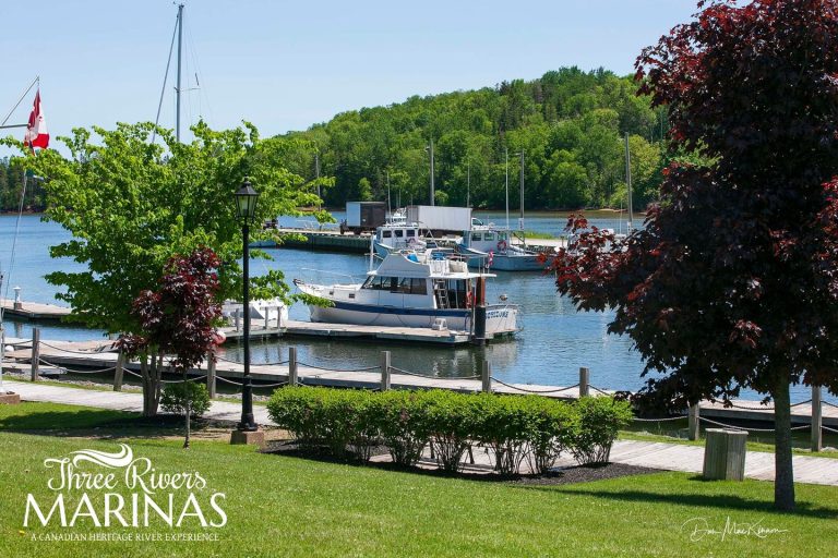 Montague Marina 768x512