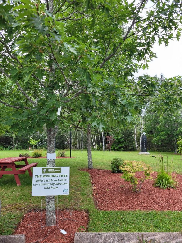 Murray River Memorial Park 768x1029