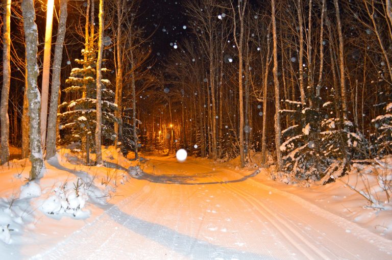 307132230 404664445175022 6089605964201941014 n 768x510