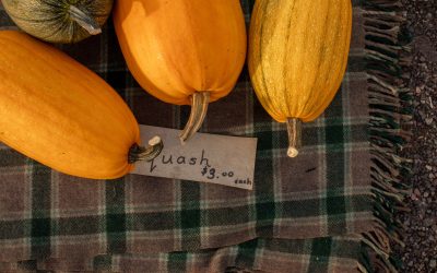 Cozy Autumn Adventures