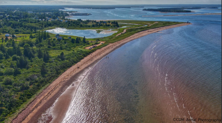 beachpointbeach 768x426