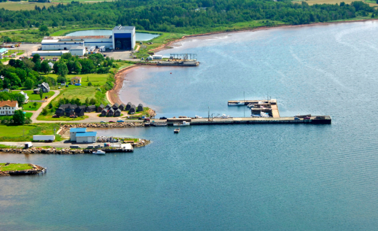 georgetownharbour 768x470