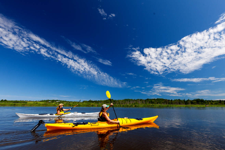 hillsbouroughriver 768x513