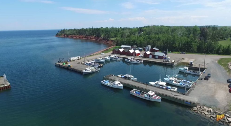 minkriverwharf 768x419