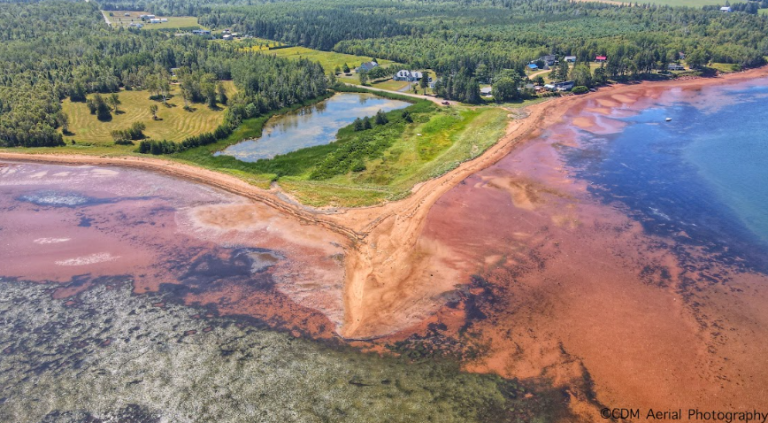 morrisonsbeach 768x423