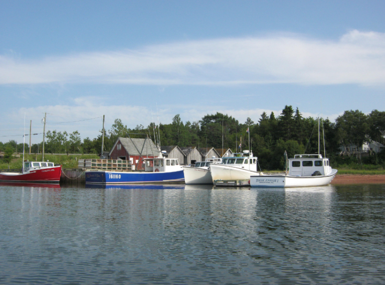 pinettewharf 768x569