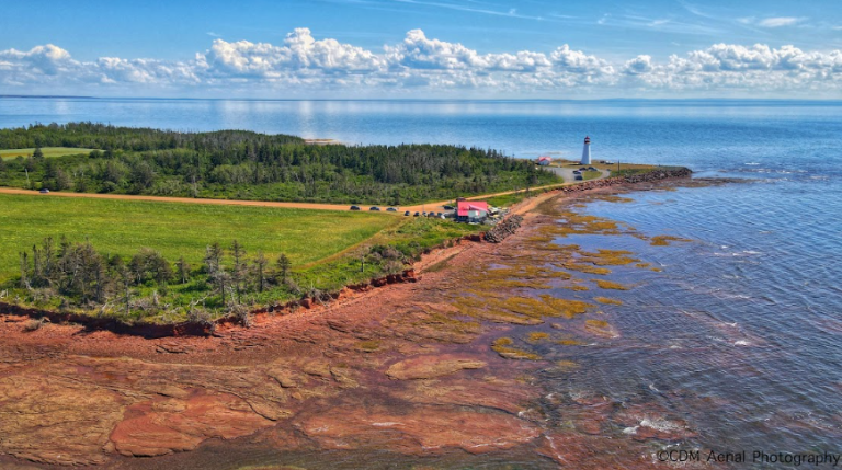 pointprimbeach 768x429