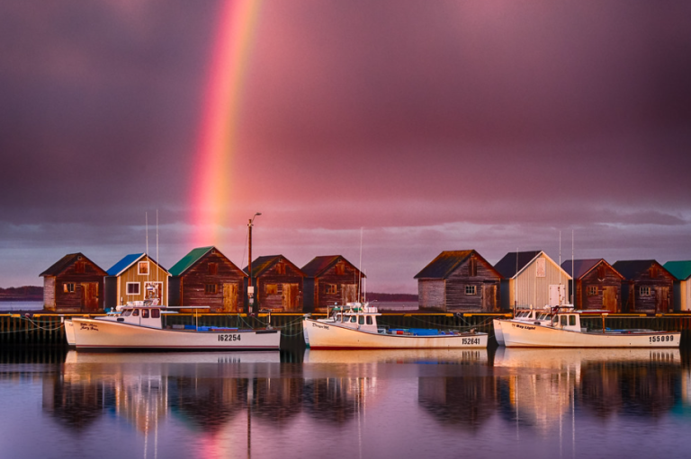 redheadharbour 768x511