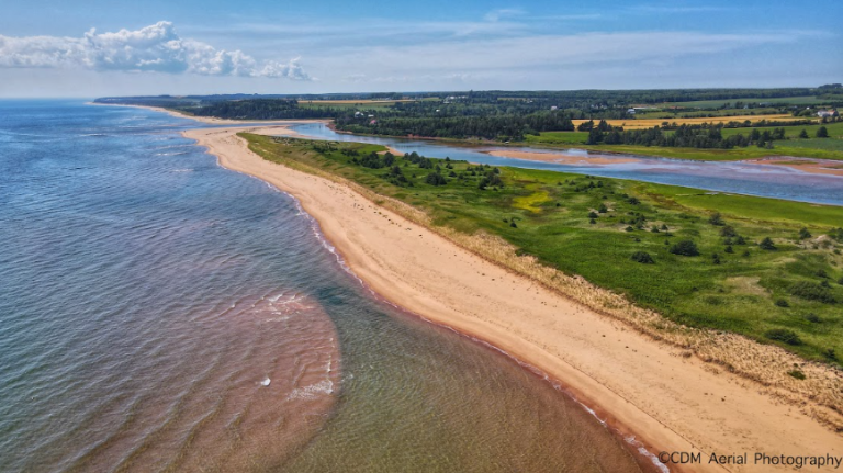 southlakebeach 768x431