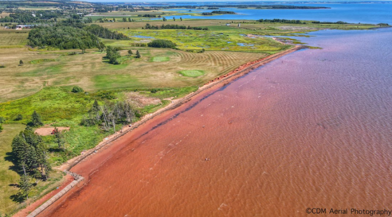 teahillbeach 768x426