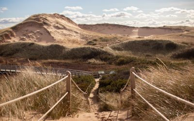 The Charming Trails of Eastern Prince Edward Island