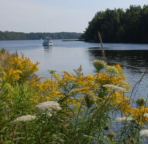 Trail-to-Trail Adventure: Three Rivers Scenic Walks